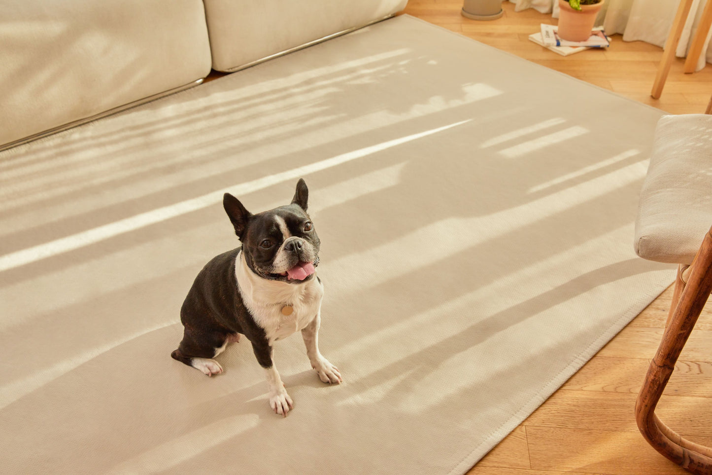 Revolution Rug